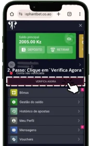 2. Passo Clique emVerifica Agora´ 2 e1741263414922 188x300 1